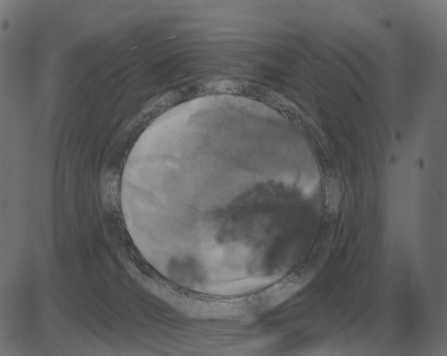 X0000081420036200702092145