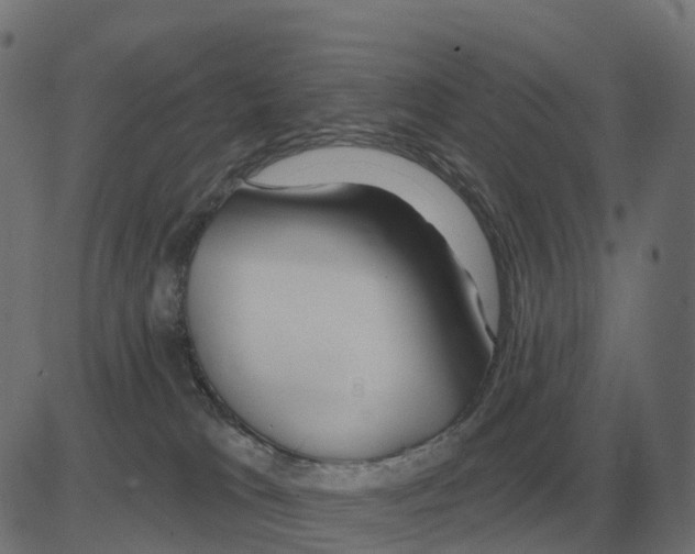 X0000081420037200702092145