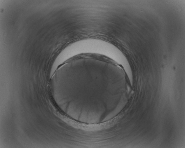 X0000081420039200702092145