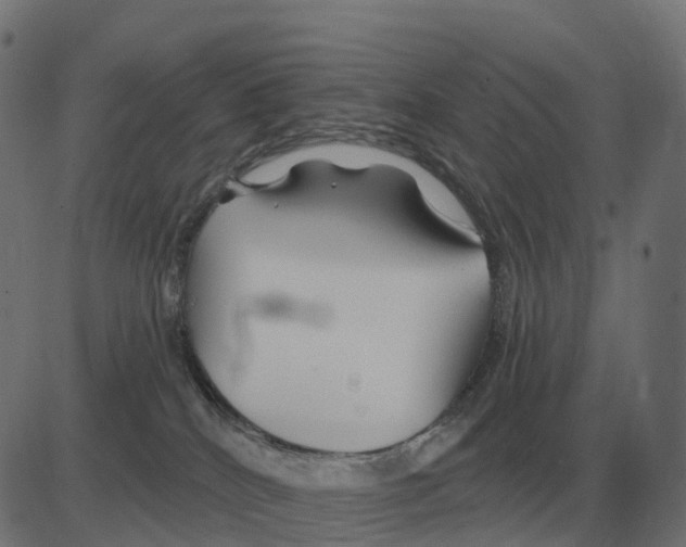 X0000081420040200702092145