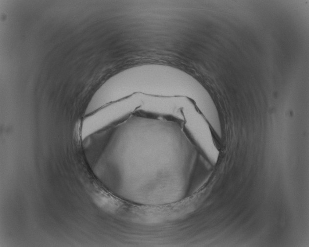 X0000081420041200702092145