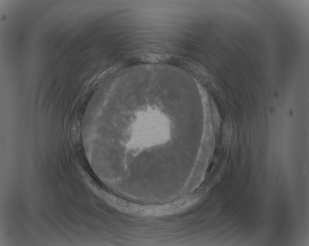 X0000081420043200702092145