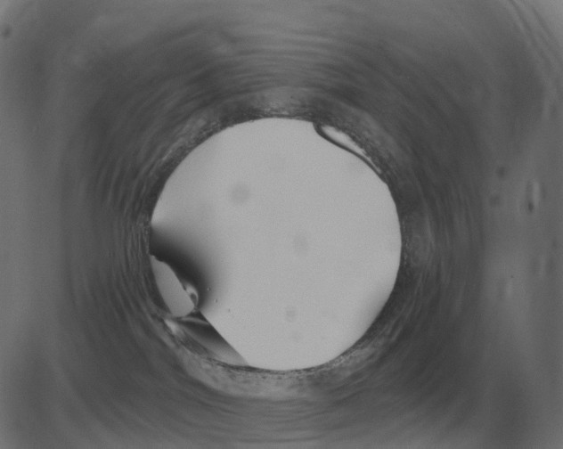 X0000081420044200702092145