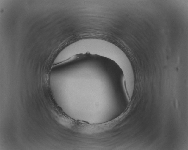 X0000081420045200702092145