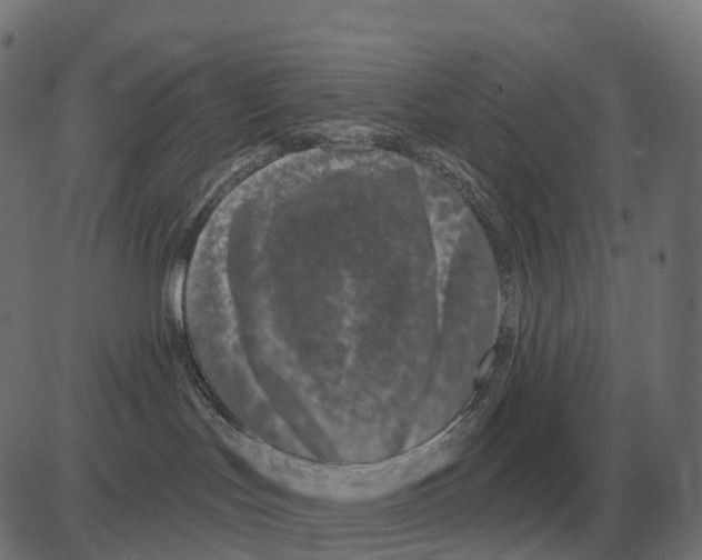 X0000081420047200702092145