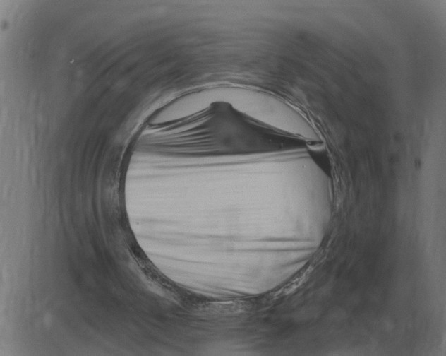 X0000081420050200702092144