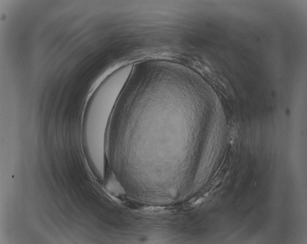 X0000081420052200702092144