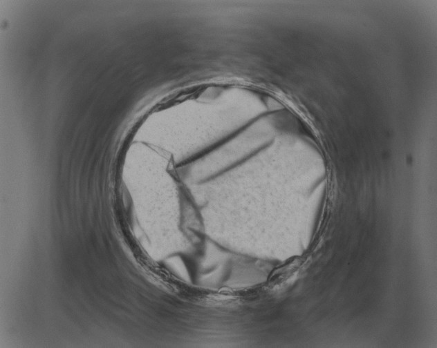 X0000081420055200702092144