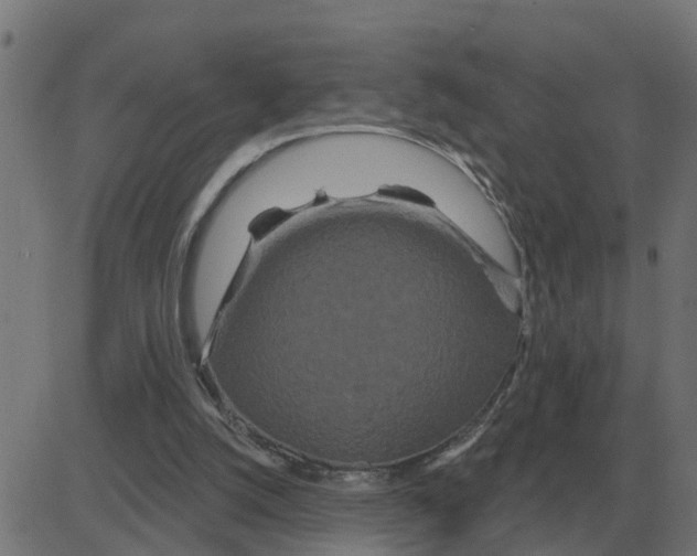 X0000081420056200702092144