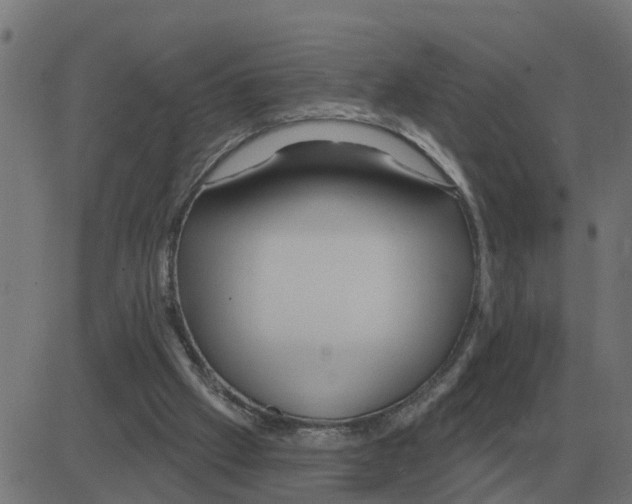 X0000081420057200702092144