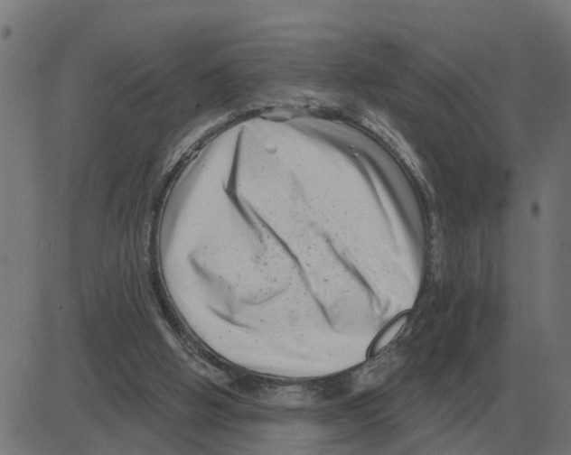 X0000081420058200702092144