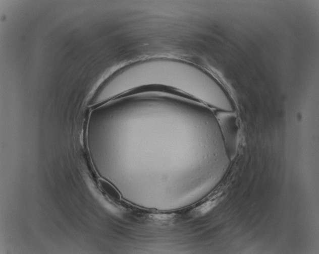 X0000081420060200702092144