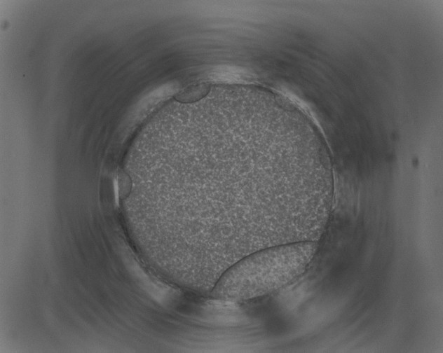 X0000081420061200702092144