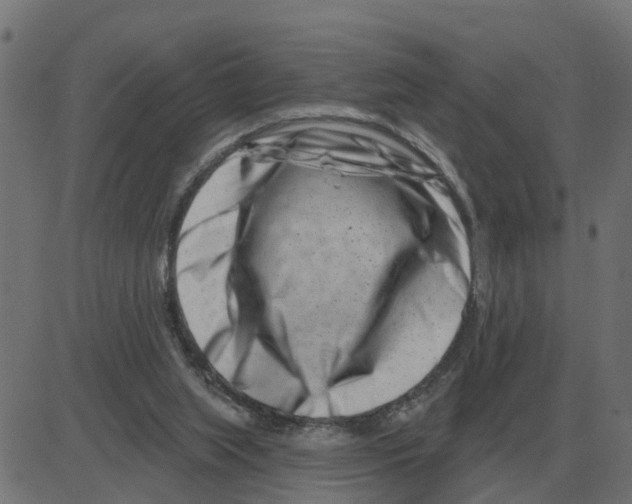 X0000081420063200702092144