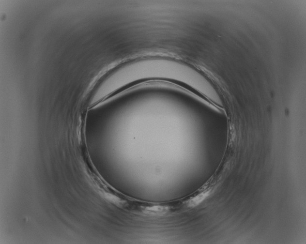 X0000081420064200702092144