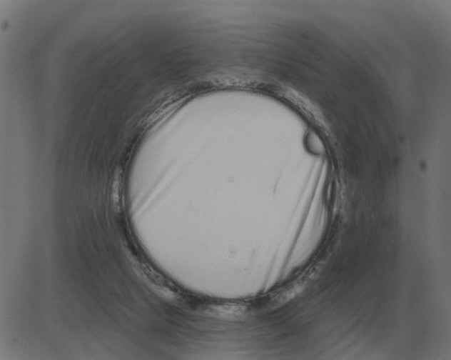 X0000081420065200702092144