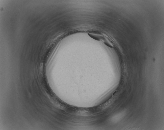 X0000081420066200702092144