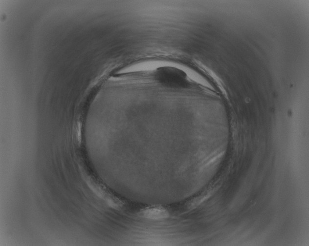 X0000081420067200702092144