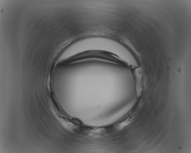 X0000081420068200702092144