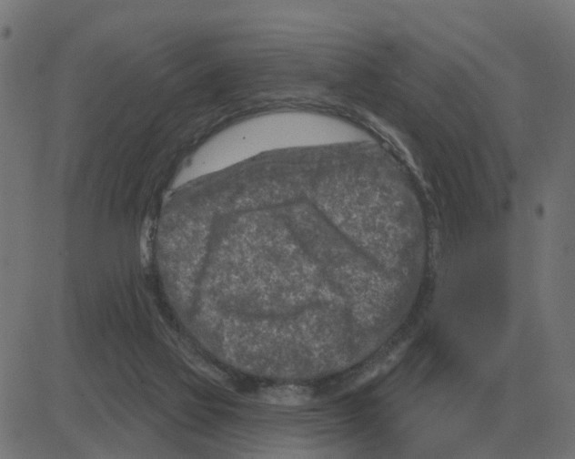 X0000081420069200702092144