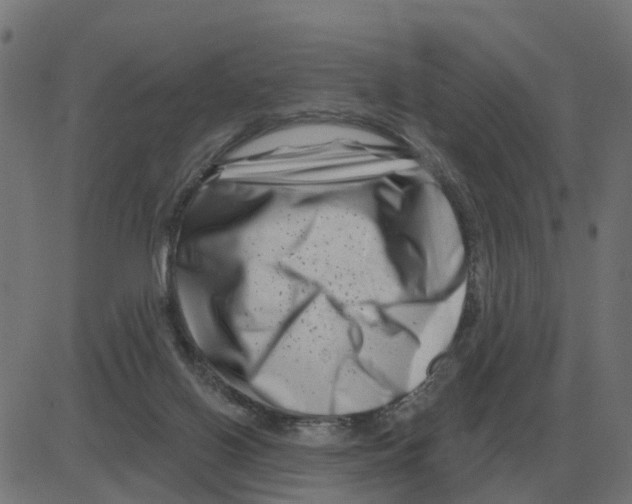 X0000081420070200702092144