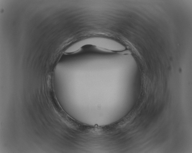 X0000081420071200702092144