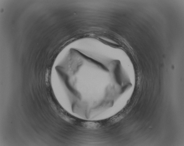 X0000081420073200702092144