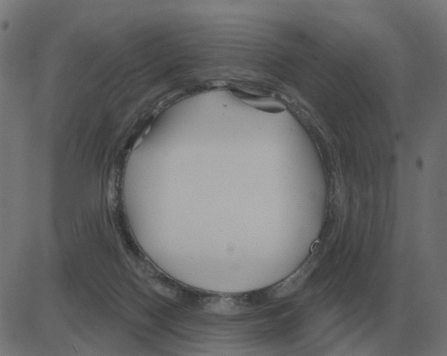 X0000081420074200702092144