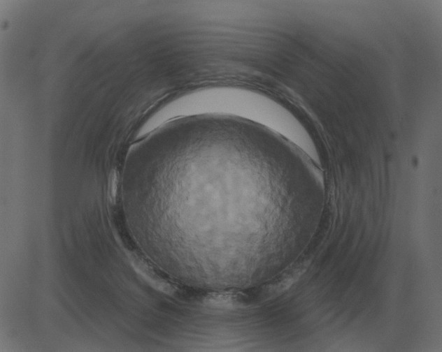 X0000081420076200702092144