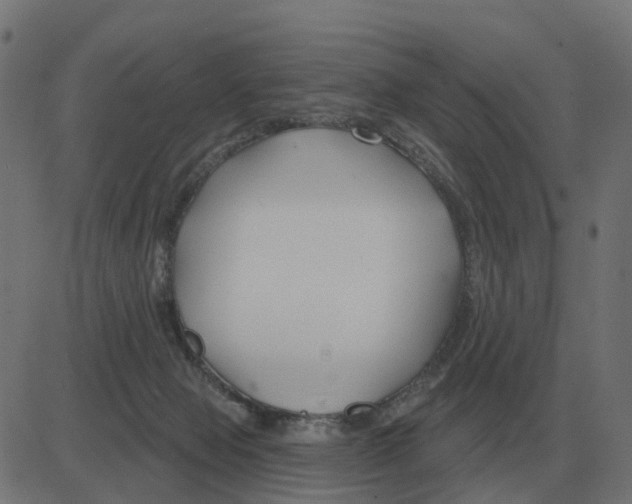 X0000081420077200702092144