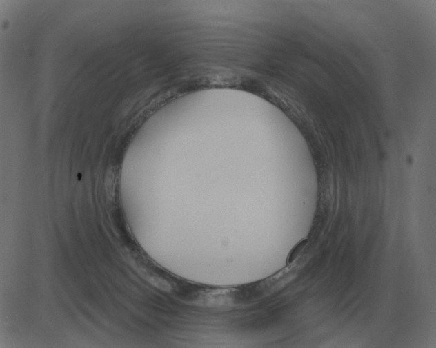 X0000081420078200702092144