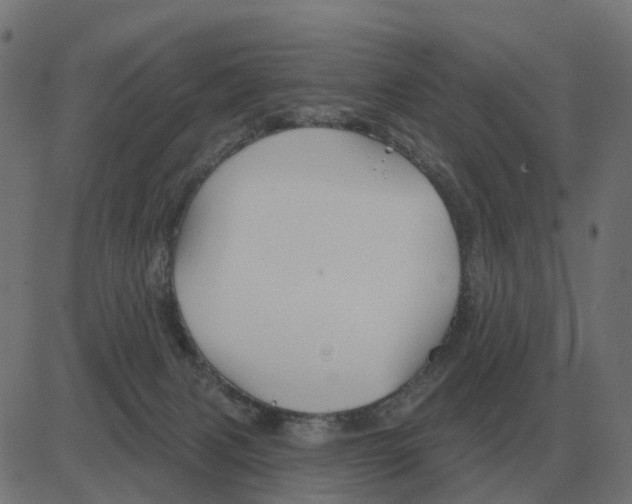 X0000081420079200702092144