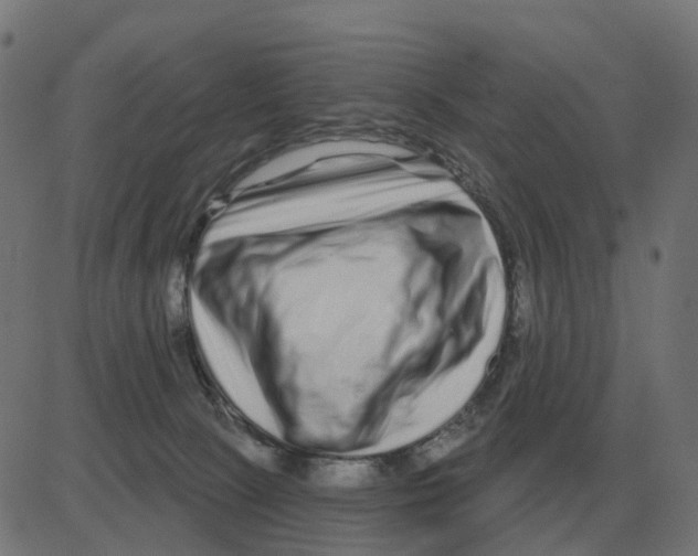 X0000081420081200702092144