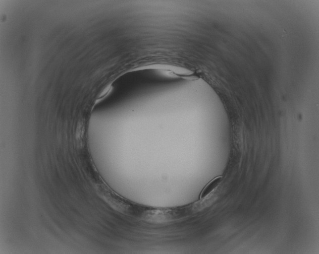 X0000081420082200702092144