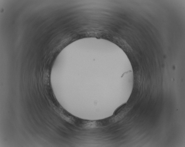 X0000081420083200702092144