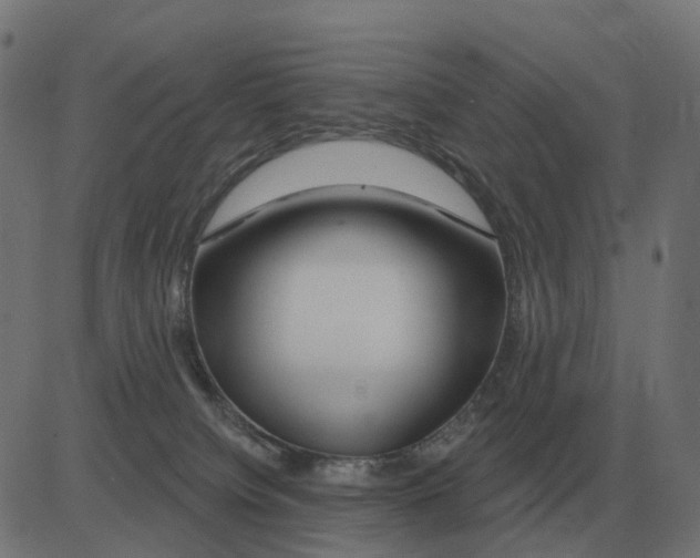 X0000081420084200702092144