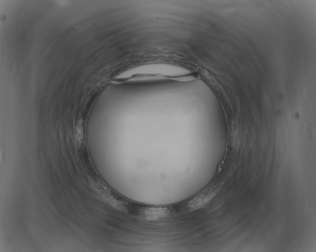 X0000081420085200702092144