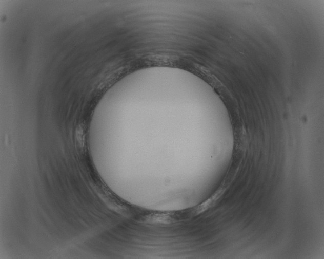 X0000081420086200702092144