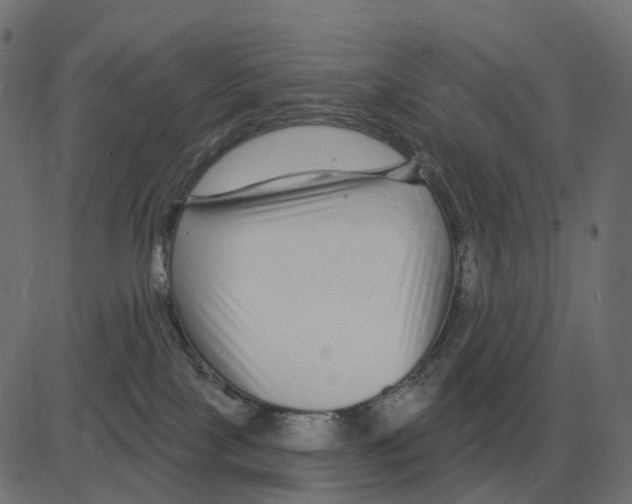 X0000081420089200702092144