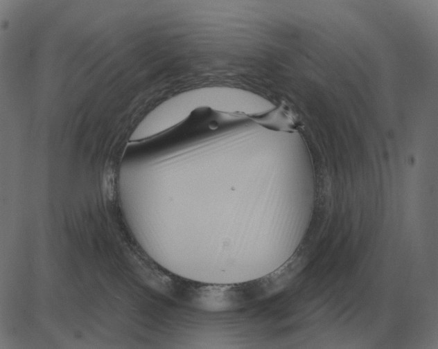 X0000081420090200702092144