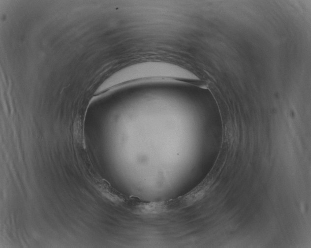 X0000081420092200702092144