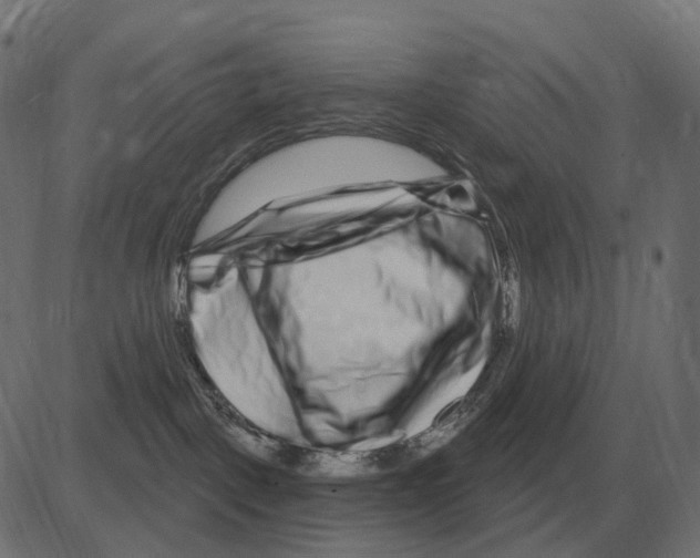 X0000081420093200702092144