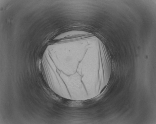 X0000081420094200702092144