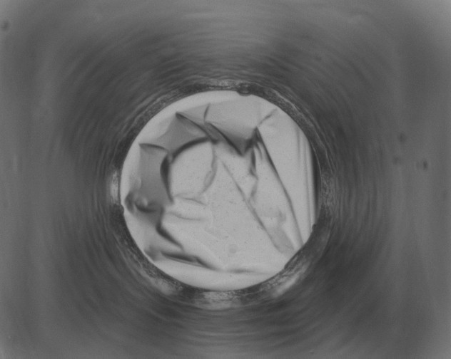 X0000081420095200702092144