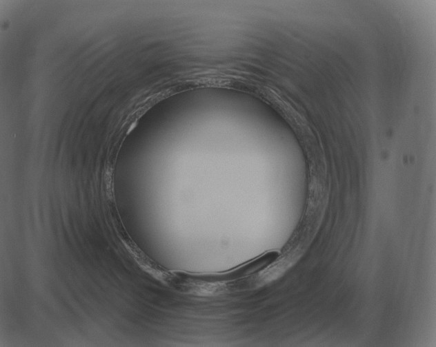 X0000081420096200702092144