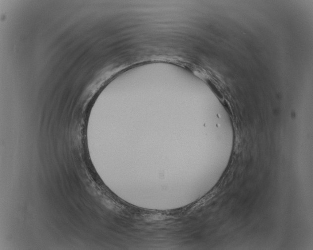 X0000081420098200702092144