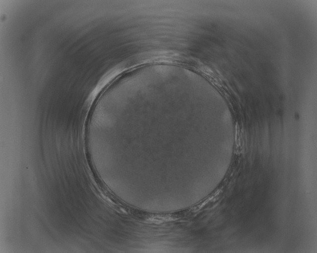 X0000081420099200702092144