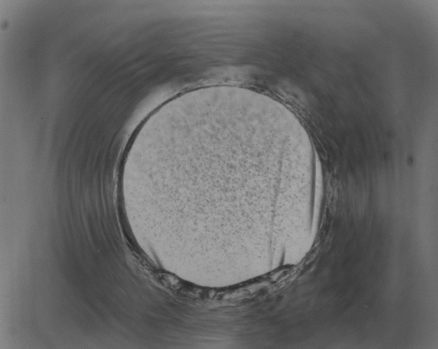 X0000081420100200702092144