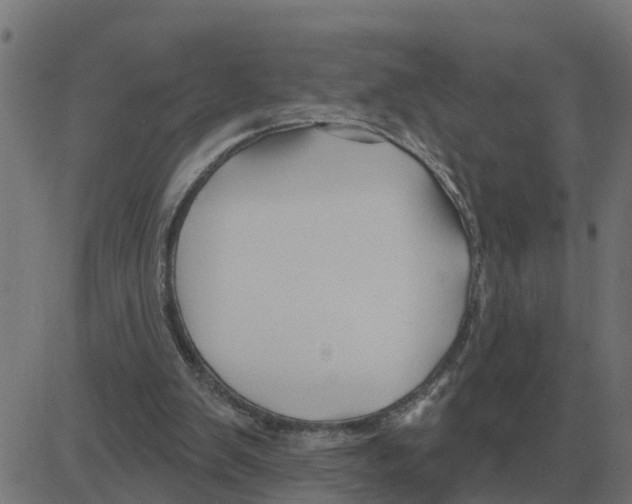 X0000081420103200702092144