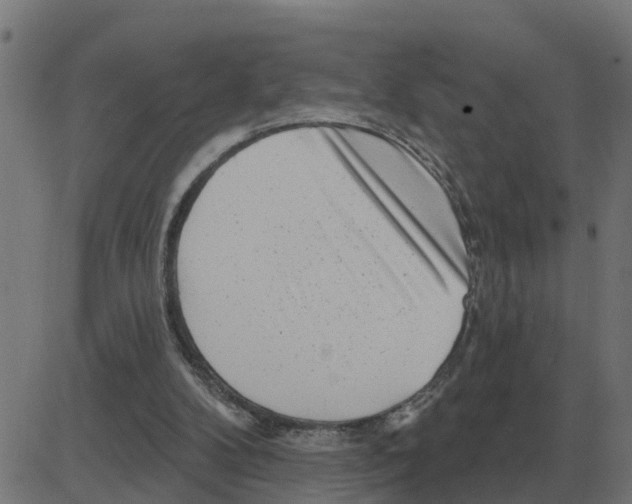 X0000081420104200702092144